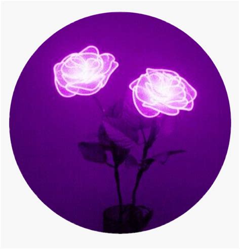 purple aesthetic|purple profile pictures.